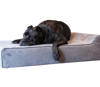 Large Dog Bed Shopping Tips
