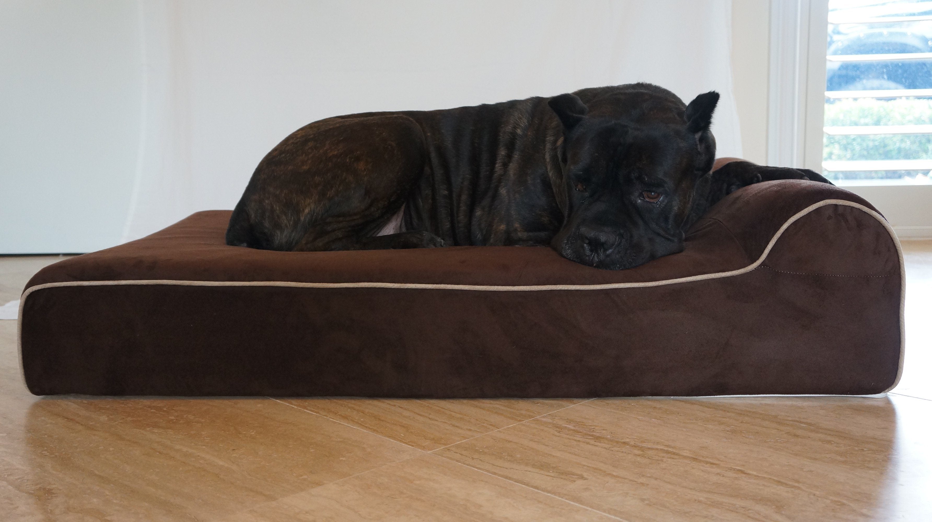 Benefits Of Therapeutic Dog Beds Bully Beds