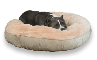 Does Your Dog Need A Calming Bed?