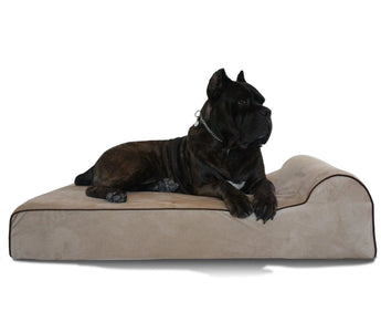 Bully Beds Voted Best High End Dog Bed by EZvid Wiki