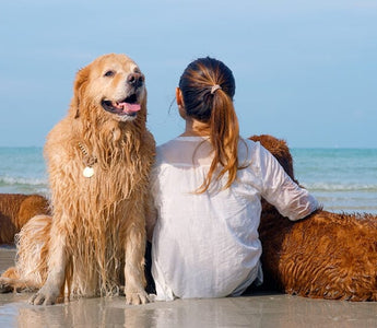 Top 50 Best Girl Dog Names for 2024 (and their meanings)