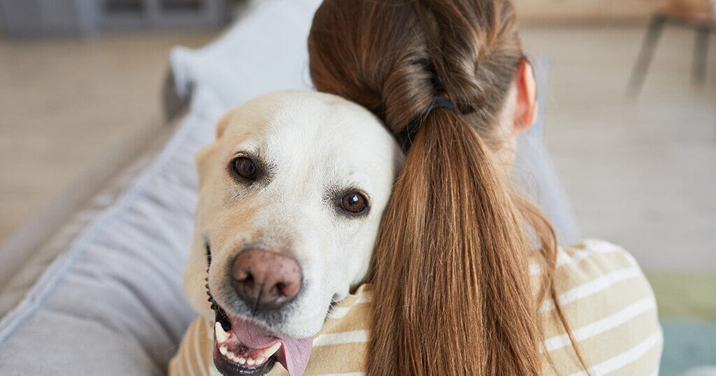 10 Signs Your Dog Has Imprinted On You