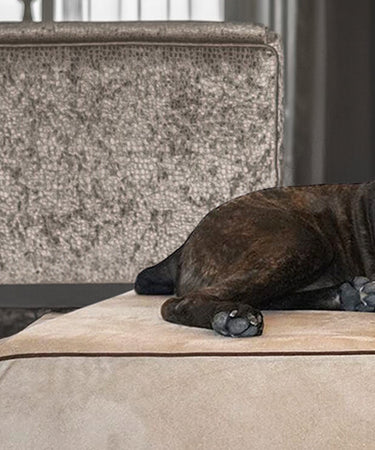 Dog Beds for Large Dogs