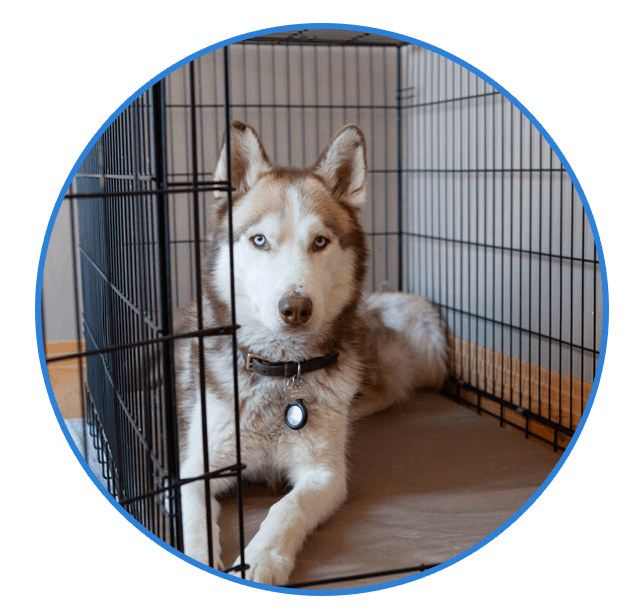 Chew-Proof Crate Pad