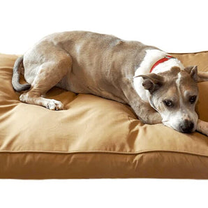 Additional 150 Days Chew Proof Bed Insurance (350 Days Total) Bullybeds.com Medium