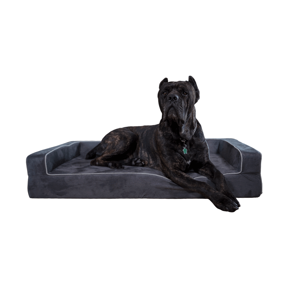 Orthopedic 3 Sided Bolster Bed Bullybeds.com