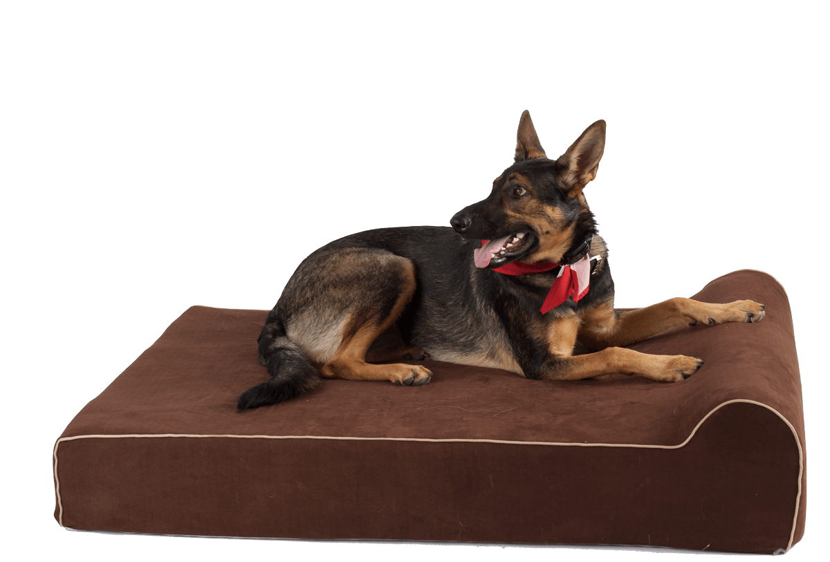 Infrared Cover Standard Bully Bed Covers Bullybeds.com