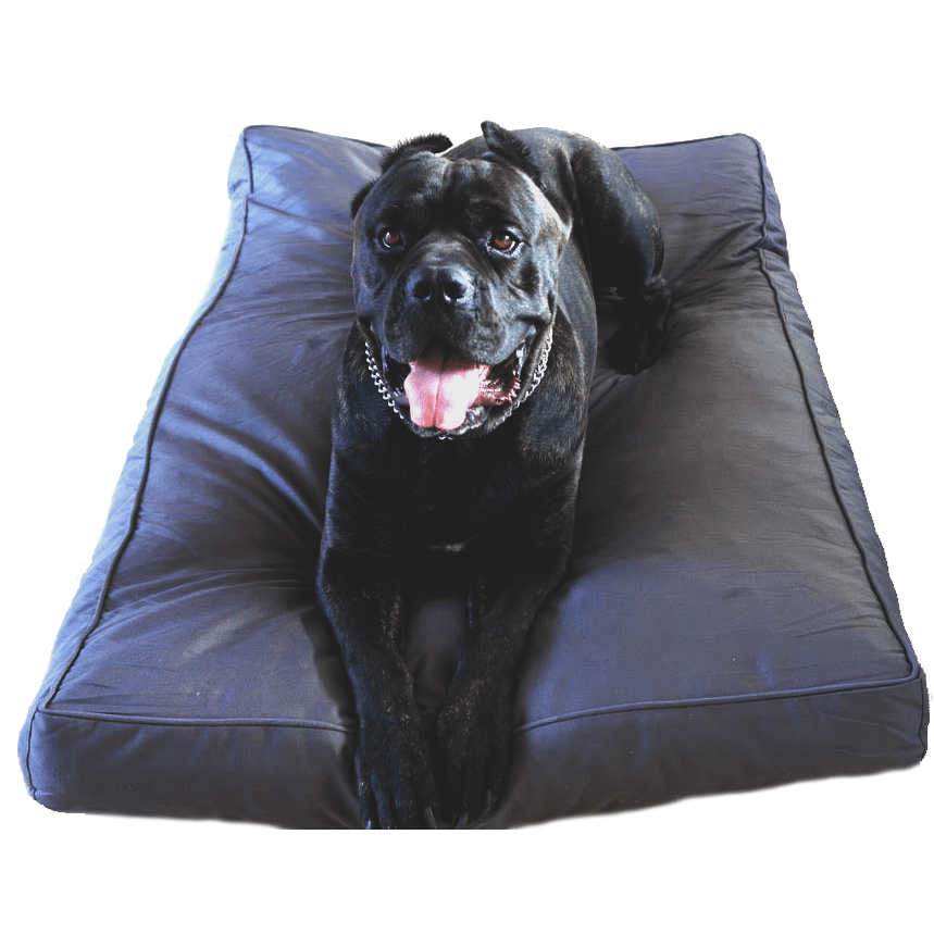 Chew Resistant Dog Bed With 200 Day Guarantee Bully Bed bullybeds.com