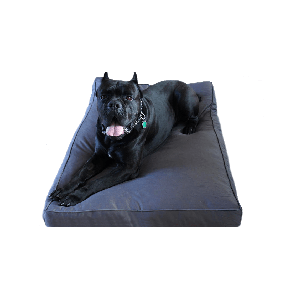 Chew Resistant Dog Bed With 200 Day Guarantee Bully Bed bullybeds.com