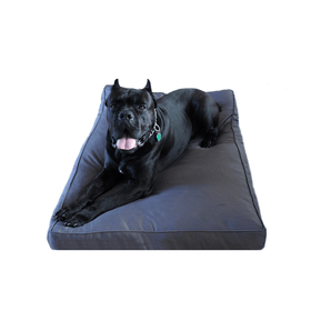 Chew Resistant Dog Bed With 200 Day Guarantee Bully Bed bullybeds.com 