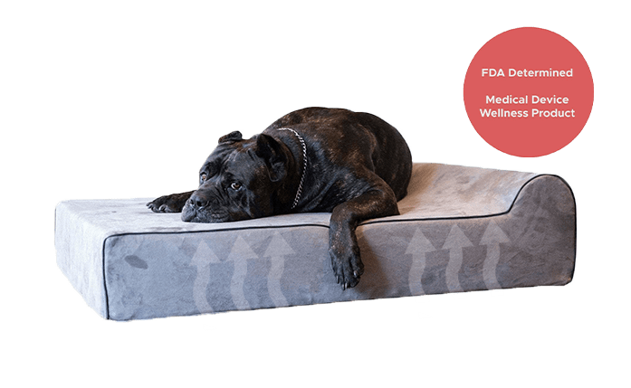 Infrared Cover Standard Bully Bed Covers Bullybeds.com