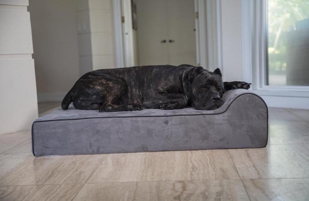 Infrared Cover Standard Bully Bed Covers Bullybeds.com