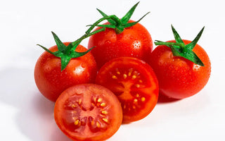 Can Dogs Eat Tomatoes? Benefits and Risks