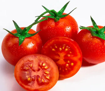 Can Dogs Eat Tomatoes? Benefits and Risks