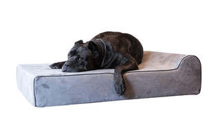 Large Dog Bed Shopping Tips
