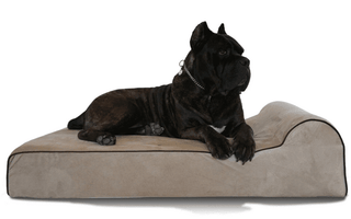 Benefits of Orthopedic Dog Beds