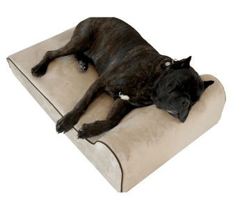 The Best Dog Beds for Large Breeds