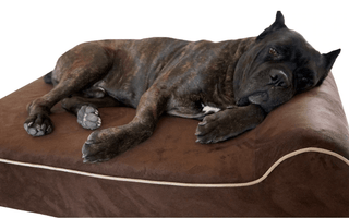 How to Choose the Best Dog Bed Covers?