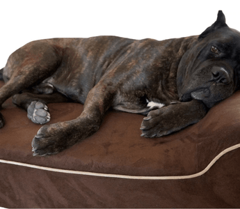 How to Choose the Best Dog Bed Covers?