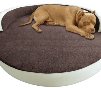 How to Make Your Dog Sleep Better At Night?