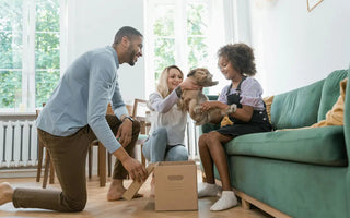 How to Introduce a New Pet to Your Home
