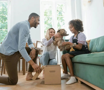 How to Introduce a New Pet to Your Home