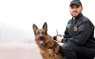 Top 6 Police Dog Breeds (And Their Roles)