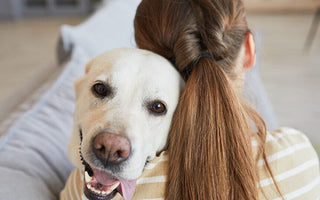 10 Signs Your Dog Has Imprinted On You