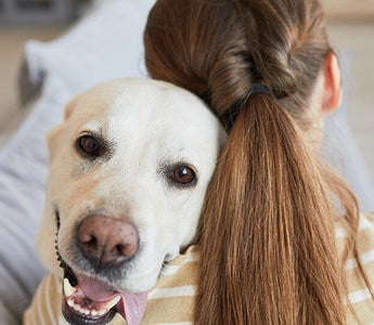 10 Signs Your Dog Has Imprinted On You
