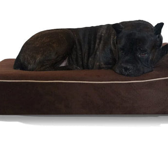 The 10 Best Dog Beds of 2024