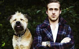 12 Celebrities Who Have Giant Dogs