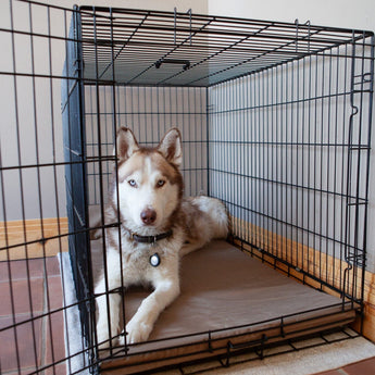 Chew Proof Crate Pad (With 200 Day Guarantee) Bullybeds.com 