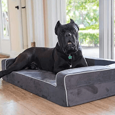 Dog Bed Covers