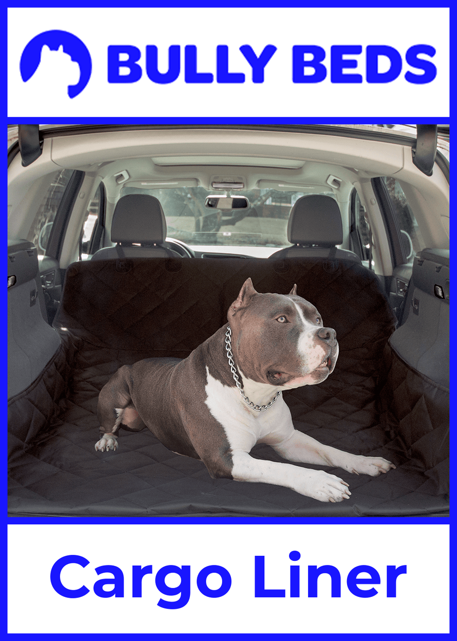 Cargo Liners for Dogs