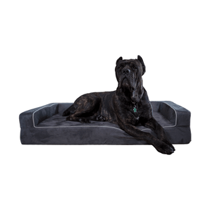 Clearance beds Bullybeds.com Medium Gray 3 Sided Brand New