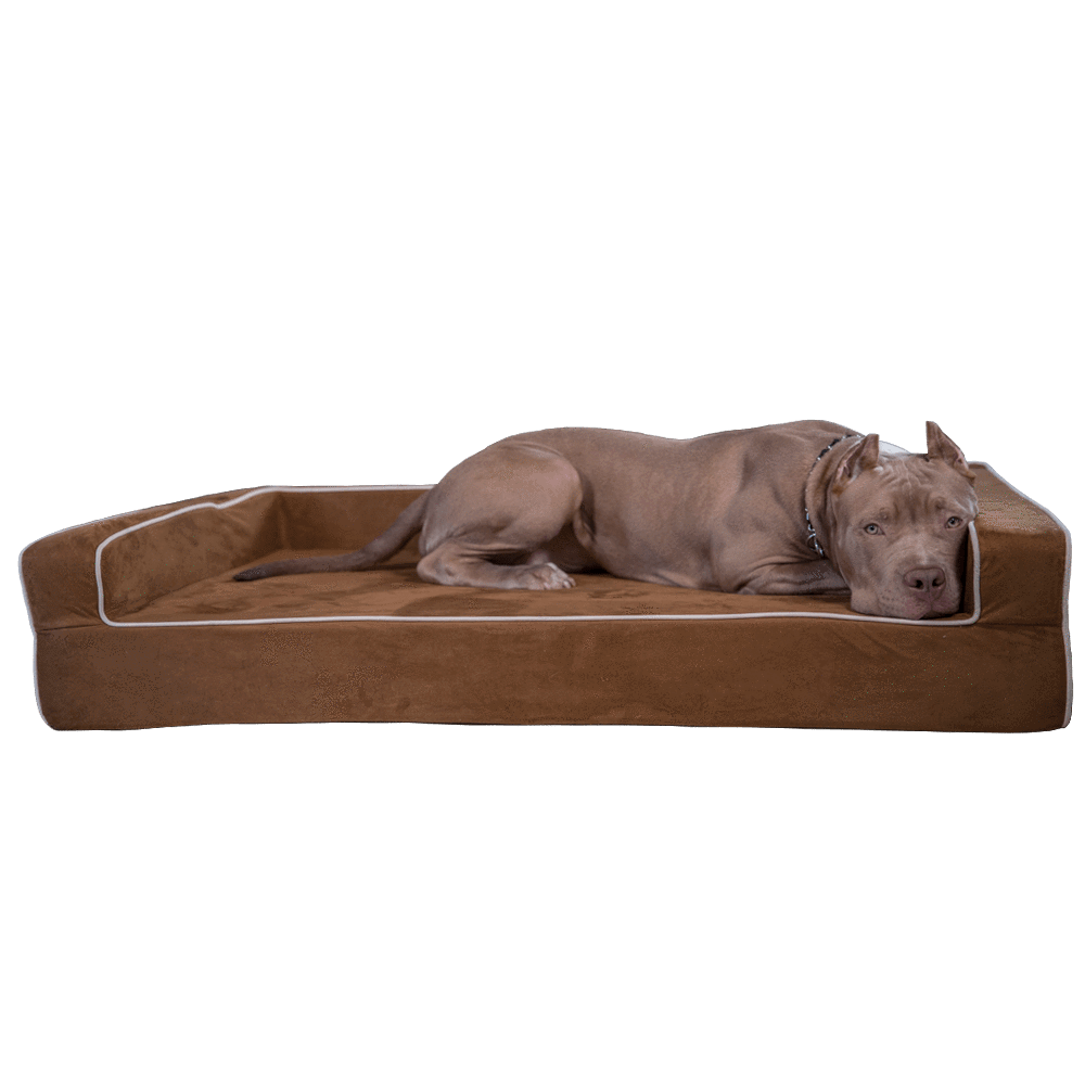 Orthopedic Dog Bed With Bolsters Bully Beds