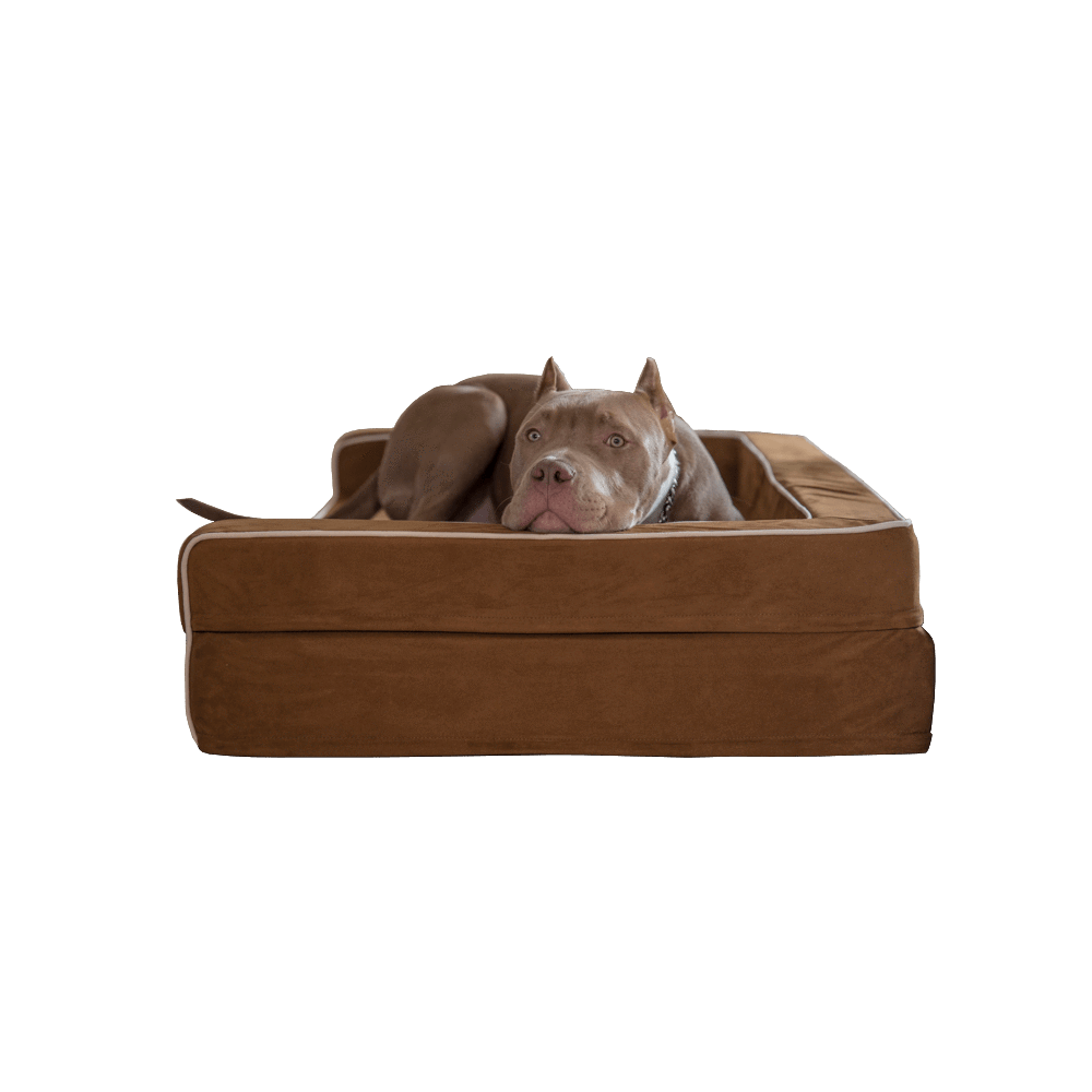 Orthopedic Dog Bed With Bolsters | Bully Beds