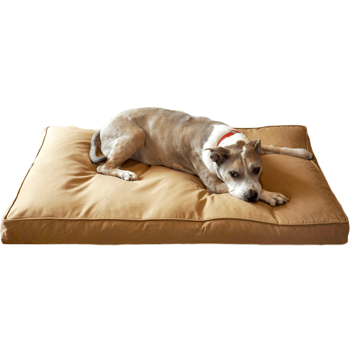 Durable & Water Resistant Crate Mat, (34 x 20) Dog Bed - Perfect
