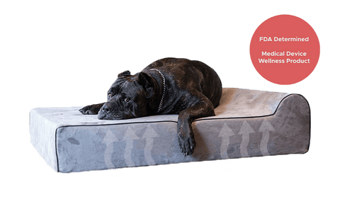 Dog Crate Mat Liner, Absorbs Urine, Waterproof, Non-Slip, 29 x 48
