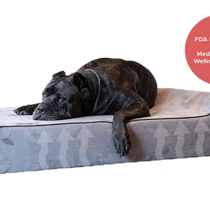 Infrared Cover Standard Bully Bed Covers Bullybeds.com 