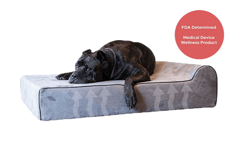Infrared Bed Cover Bully Beds